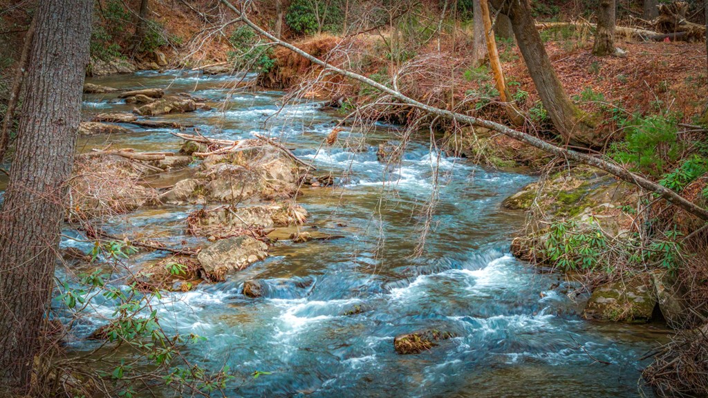 435430 Blue Ridge Active