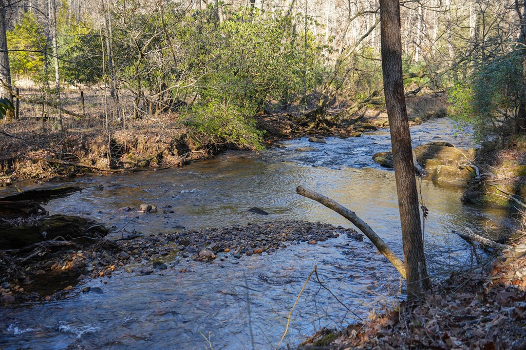 435433 Blue Ridge Active