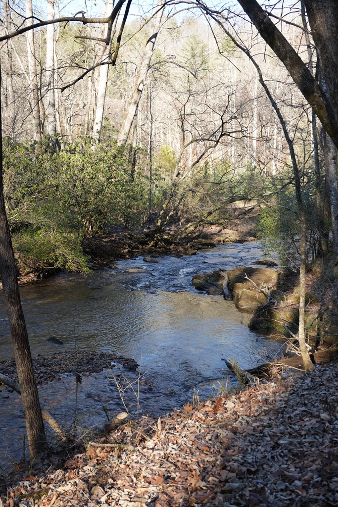 435433 Blue Ridge Active