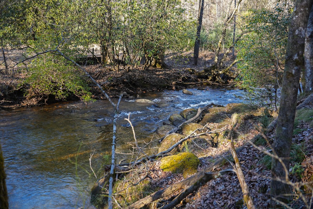 435433 Blue Ridge Active