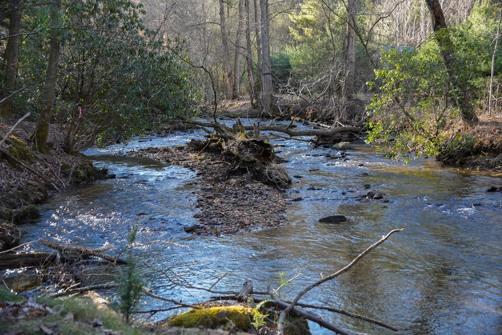 435433 Blue Ridge Active