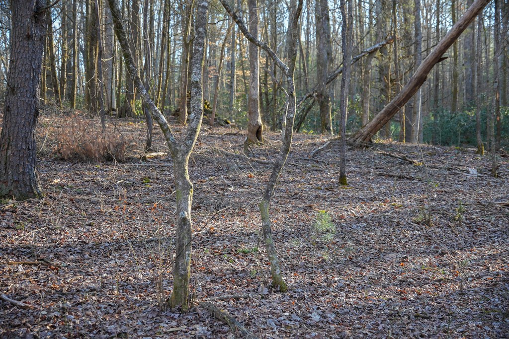 435433 Blue Ridge Active