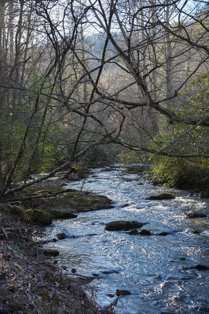 435433 Blue Ridge Active