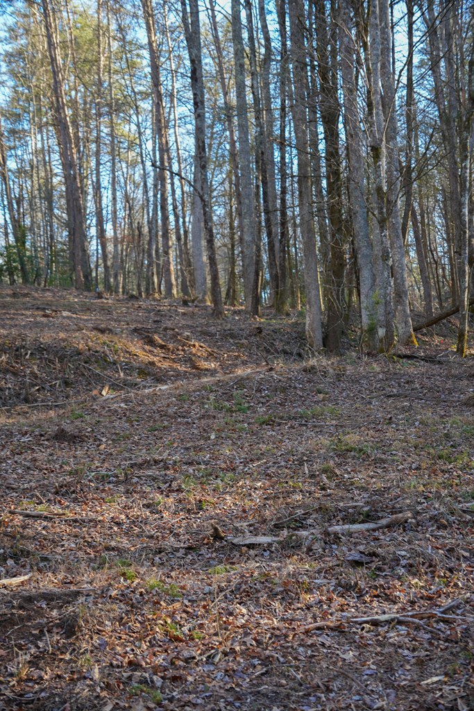 435433 Blue Ridge Active