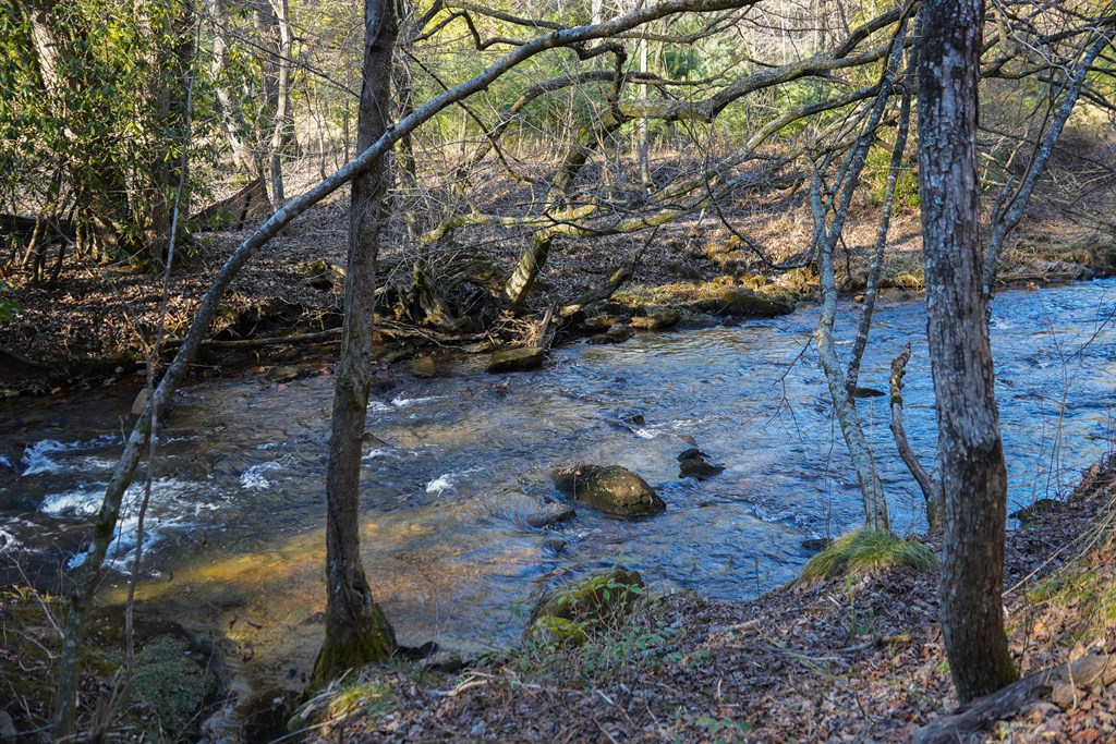 435433 Blue Ridge Active