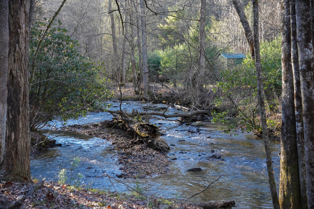 435433 Blue Ridge Active