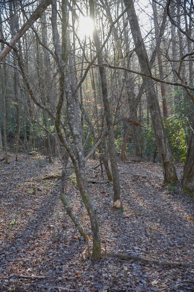 435433 Blue Ridge Active