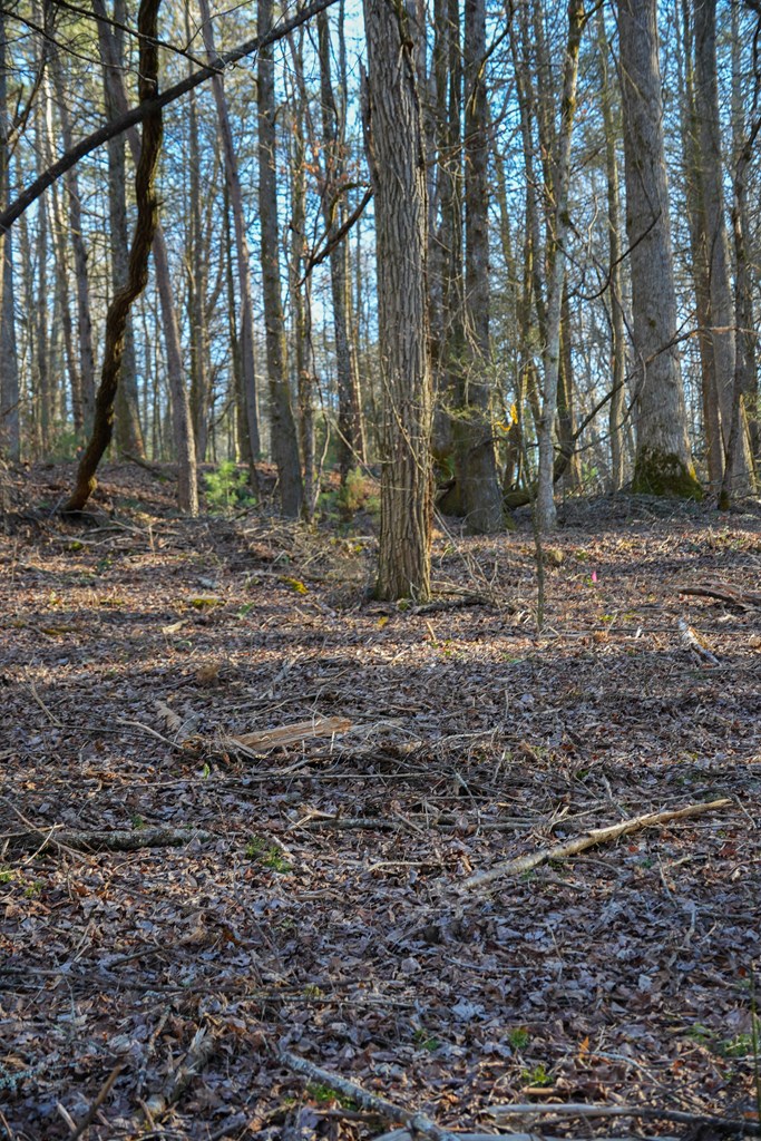 435433 Blue Ridge Active