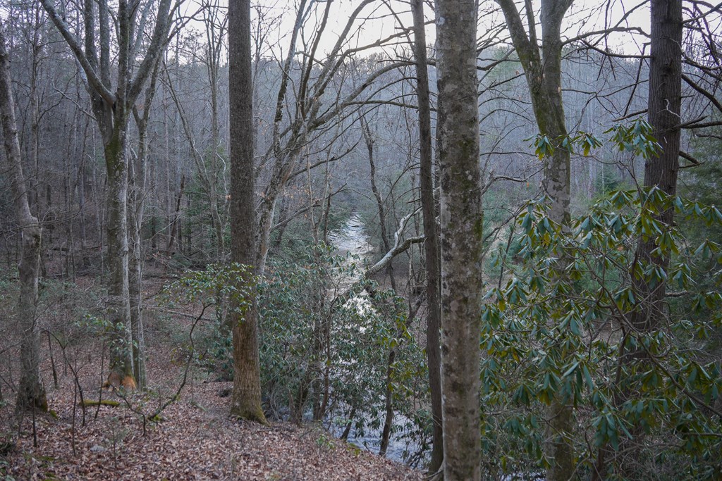 435433 Blue Ridge Active