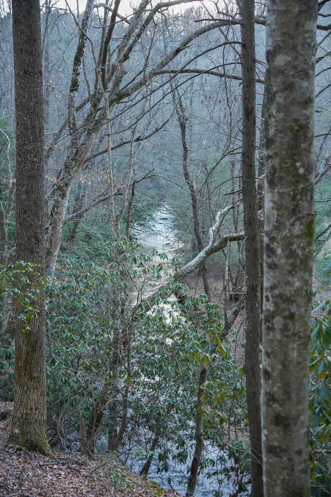 435433 Blue Ridge Active
