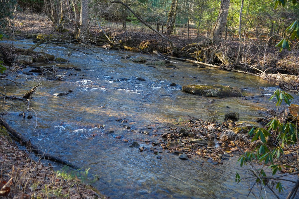 435433 Blue Ridge Active