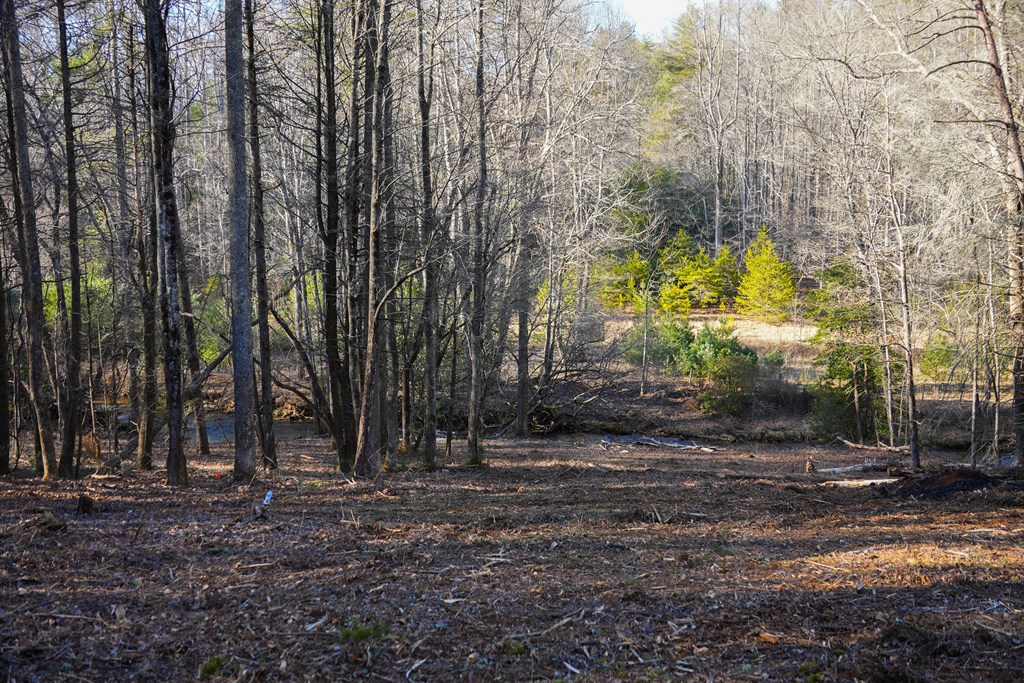 435433 Blue Ridge Active