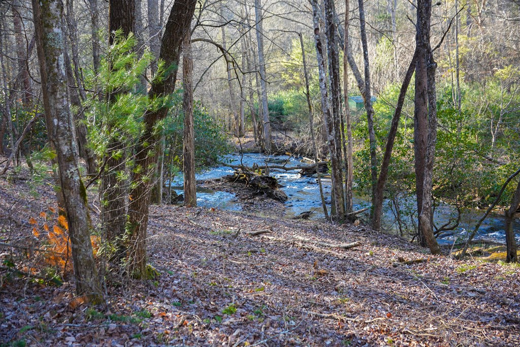 435433 Blue Ridge Active