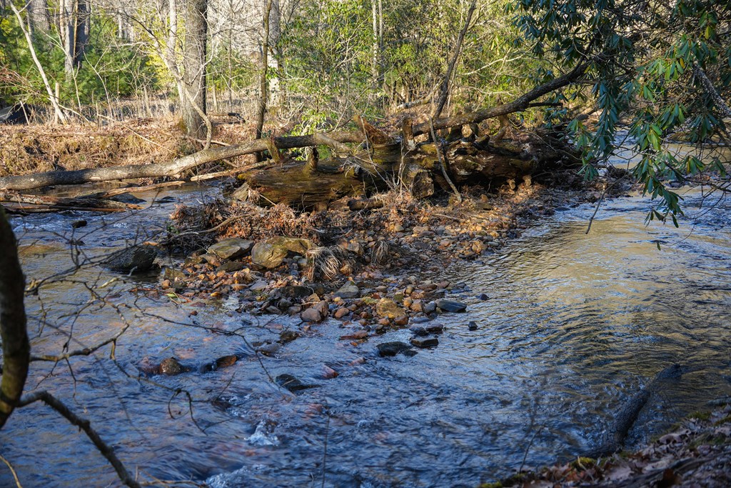 435433 Blue Ridge Active