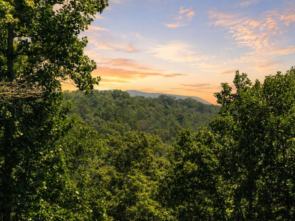 435442 Ellijay Active