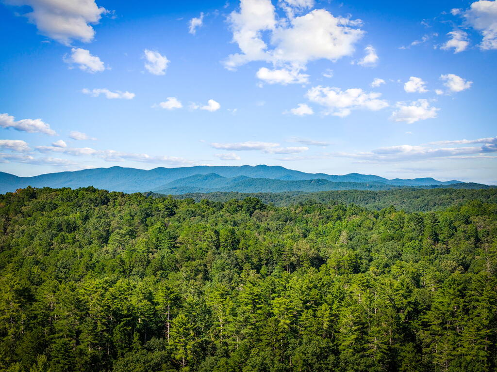 435456 Ellijay Active