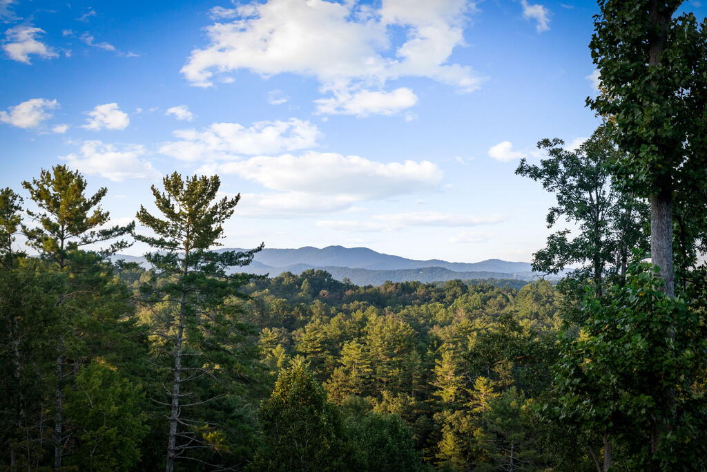 435456 Ellijay Active