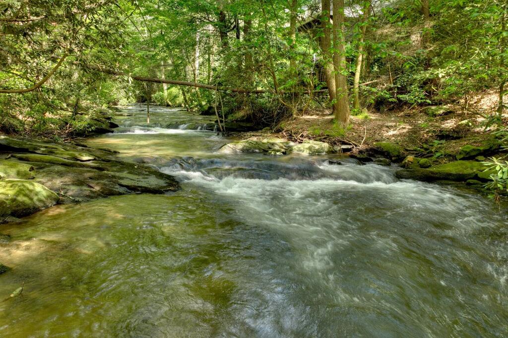 435461 Ellijay Active