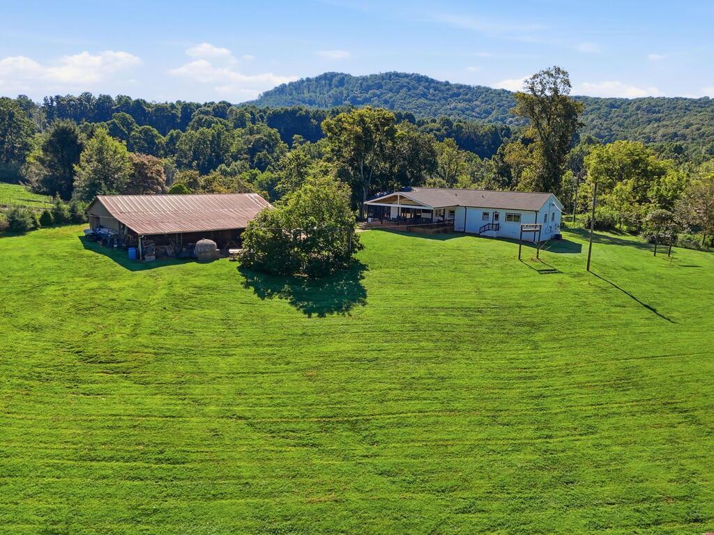 435510 Ellijay Active