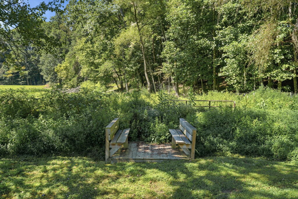 435510 Ellijay Active