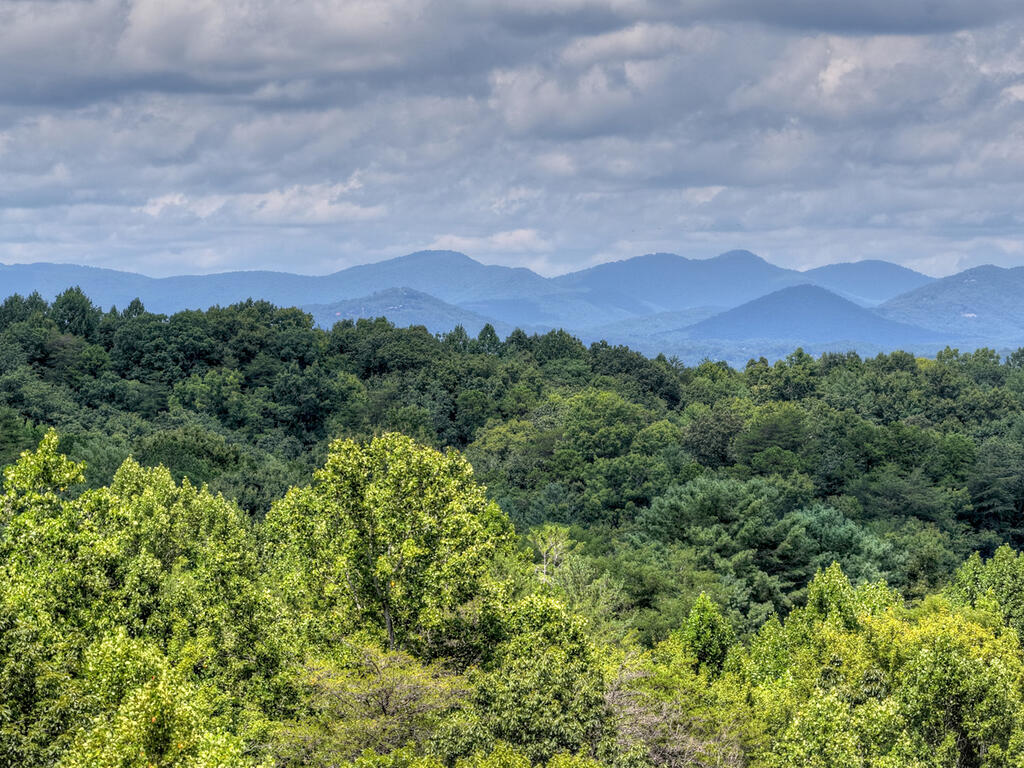 435517 Blue Ridge Active