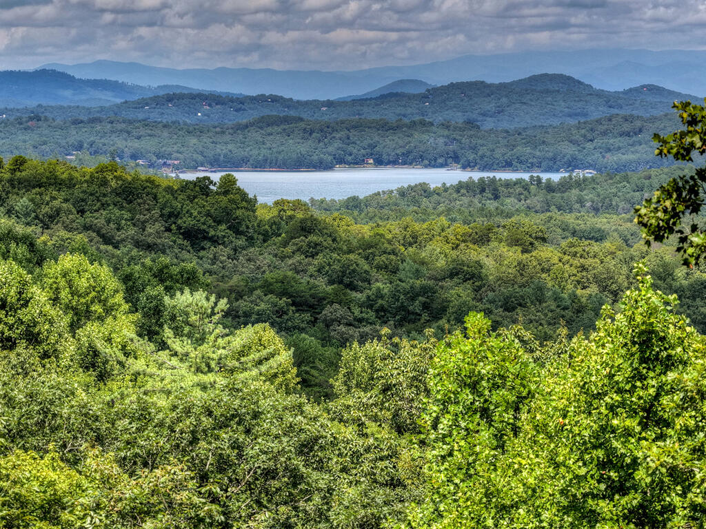 435517 Blue Ridge Active