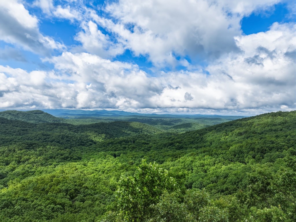 435529 Ellijay Active
