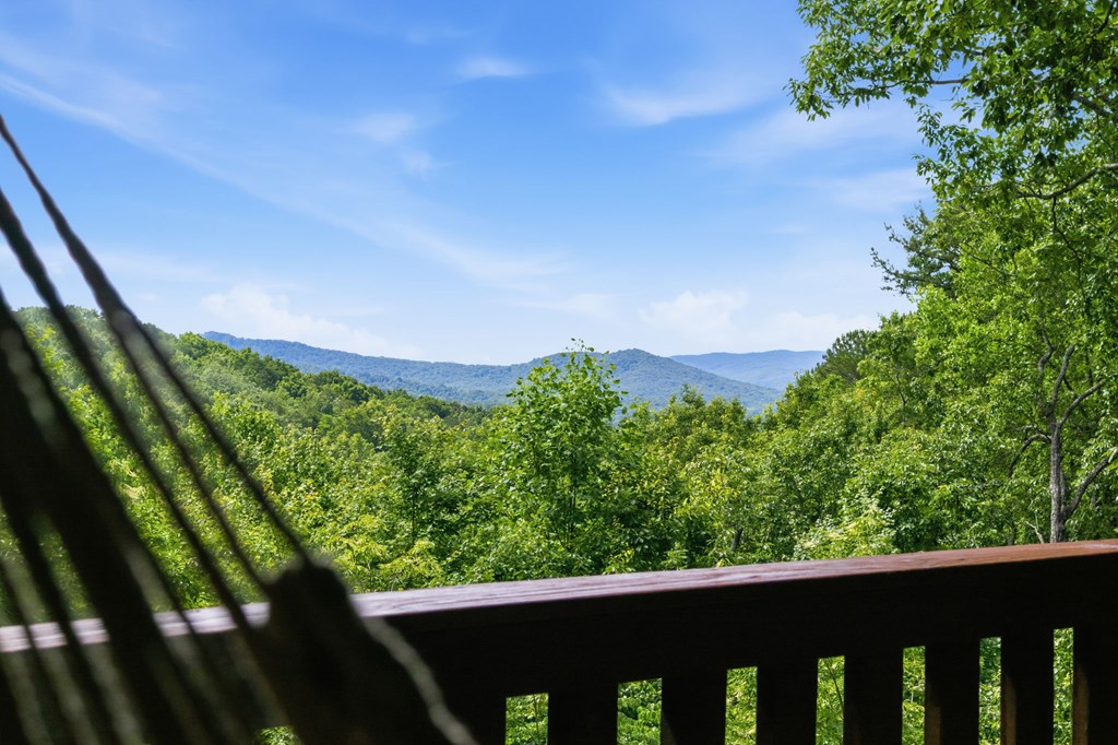 435530 Ellijay Active