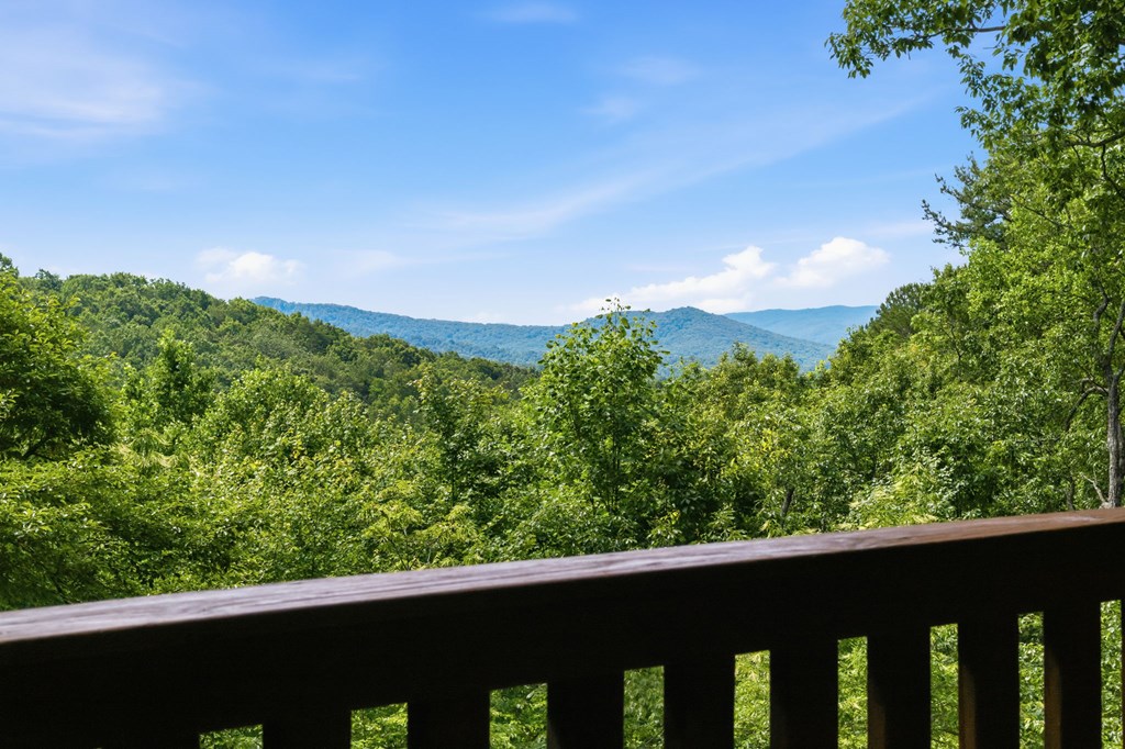 435530 Ellijay Active
