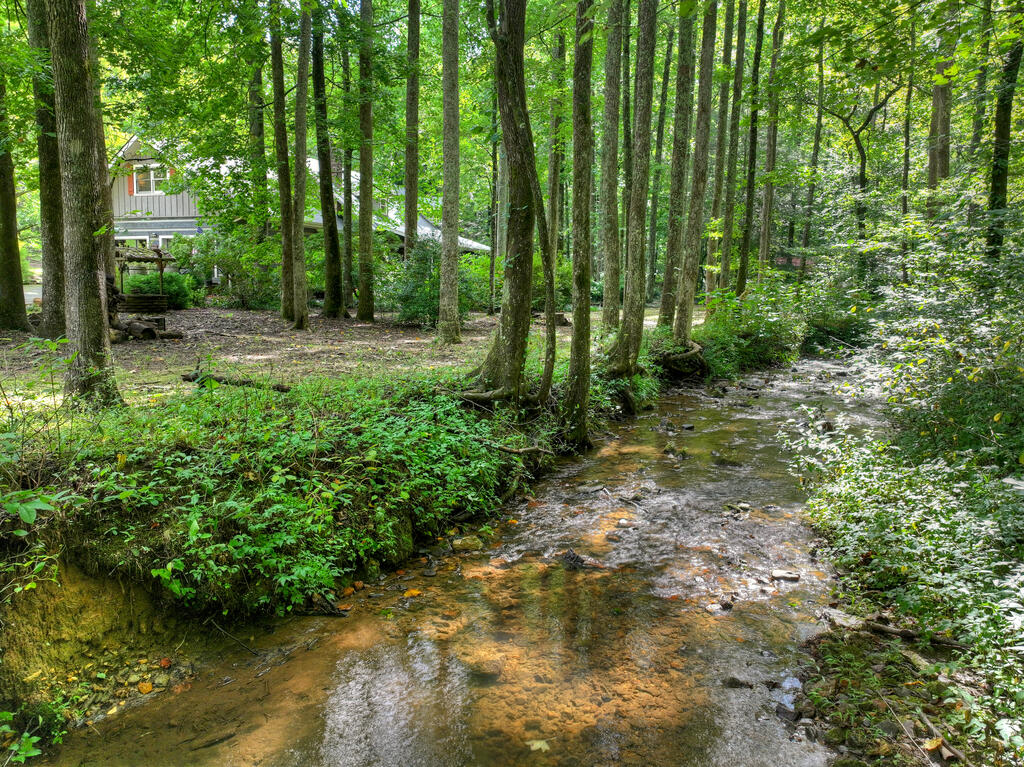 435545 Ellijay Active