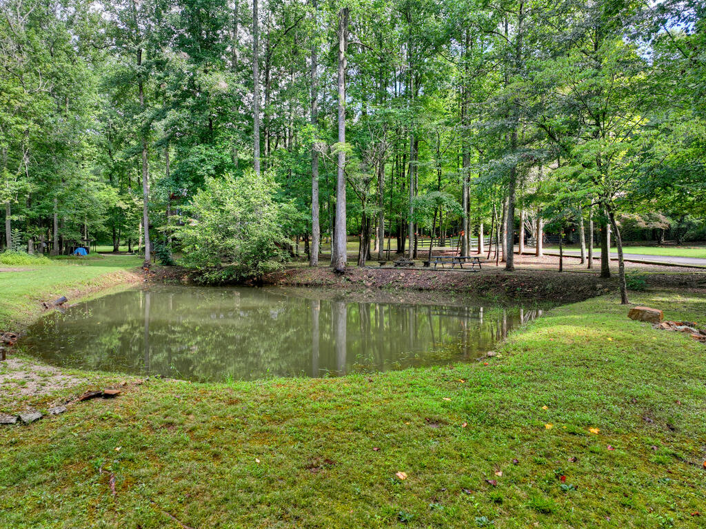 435545 Ellijay Active