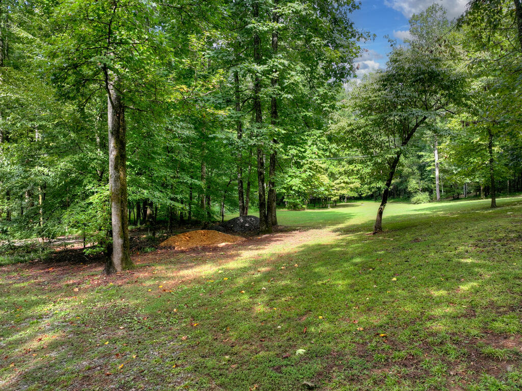 435545 Ellijay Active
