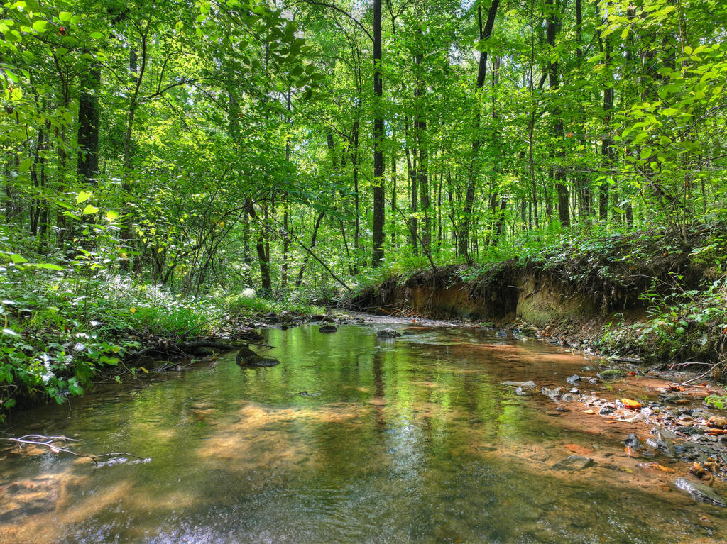 435545 Ellijay Active