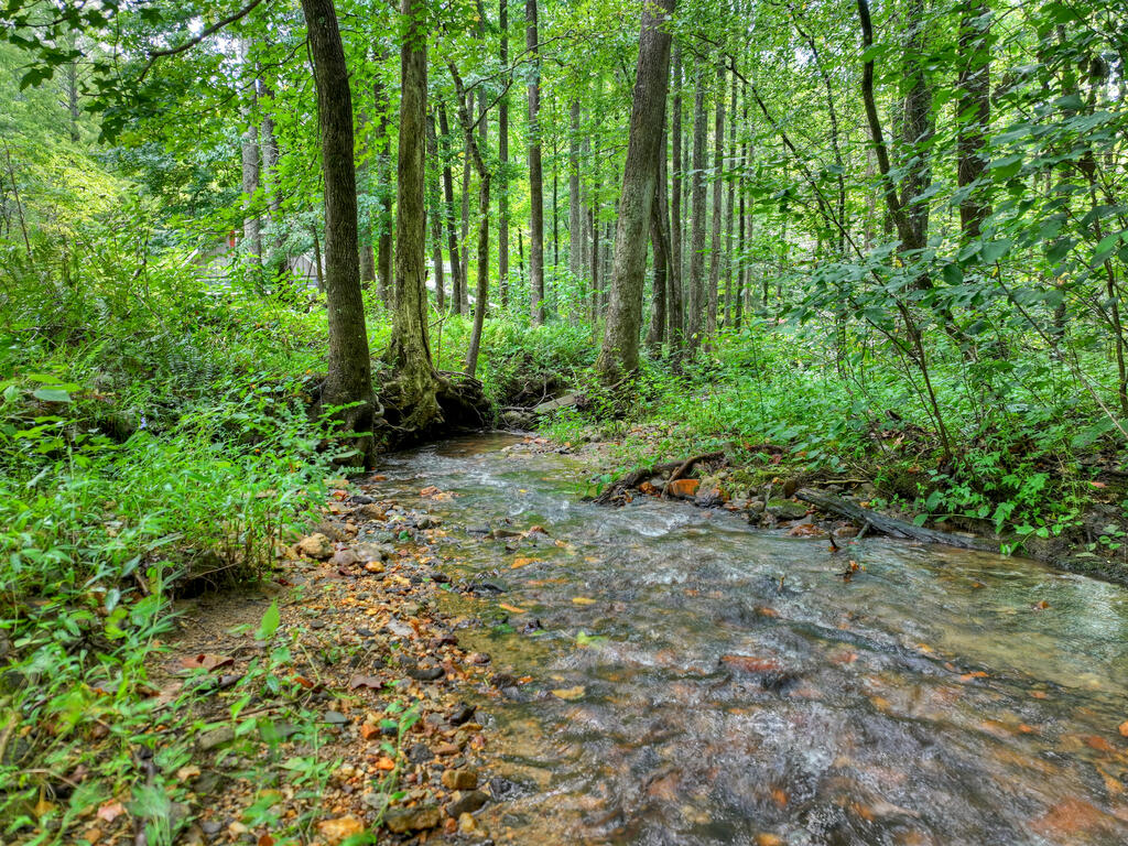 435545 Ellijay Active
