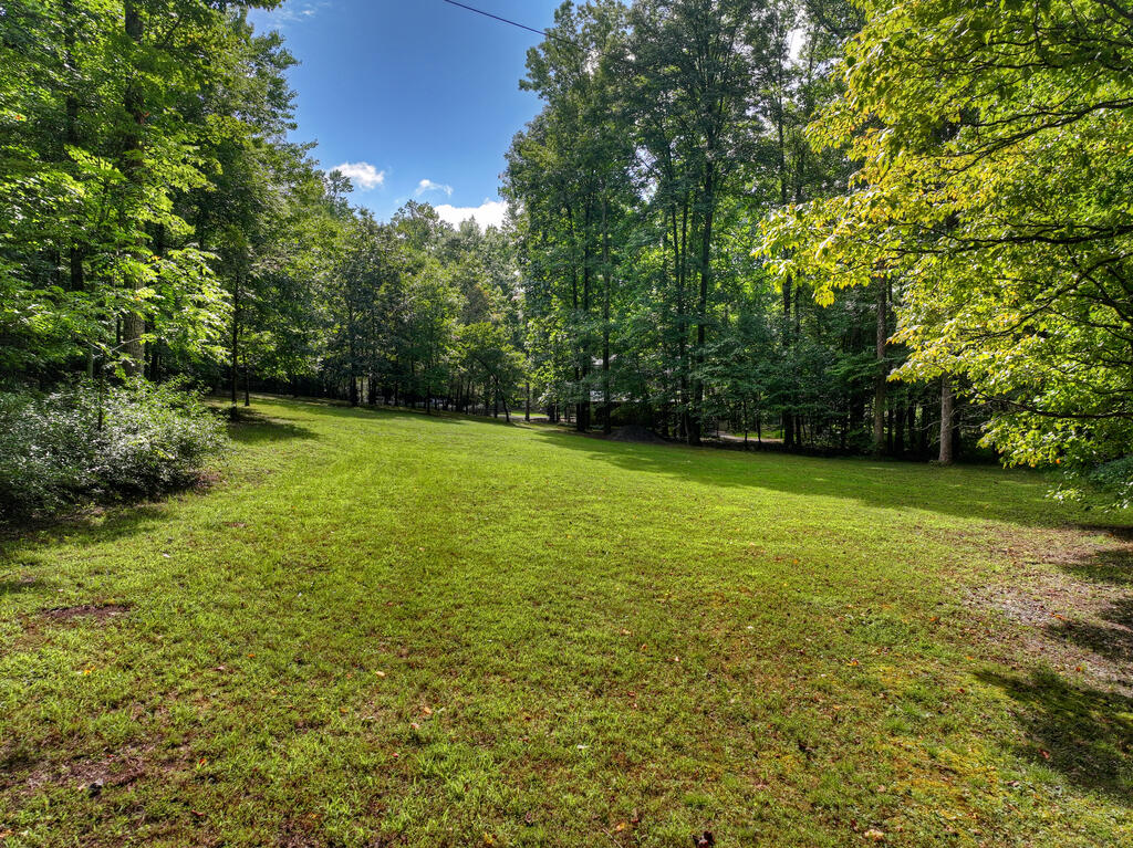 435545 Ellijay Active