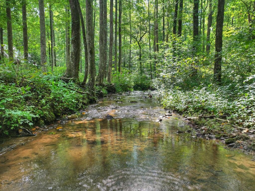 435545 Ellijay Active