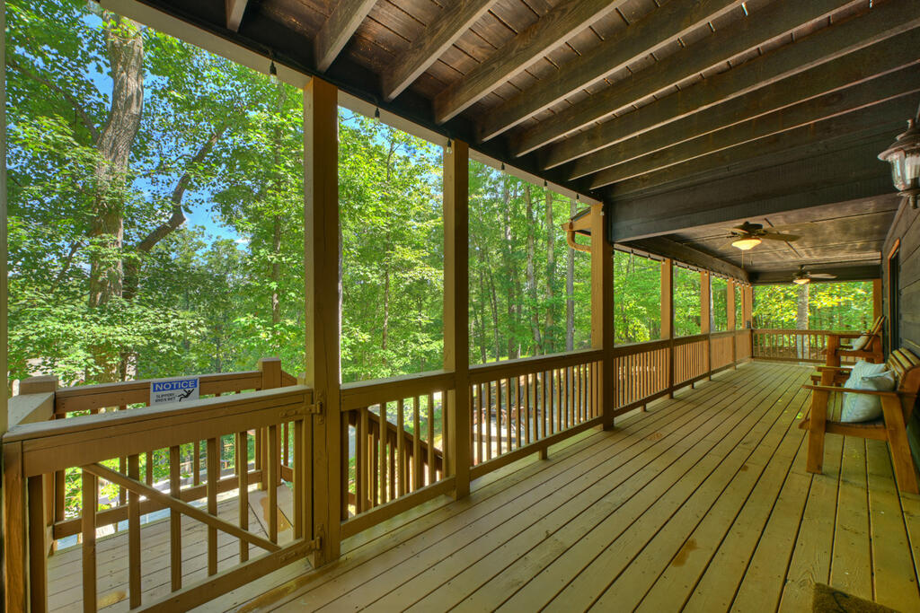 435569 Ellijay Active