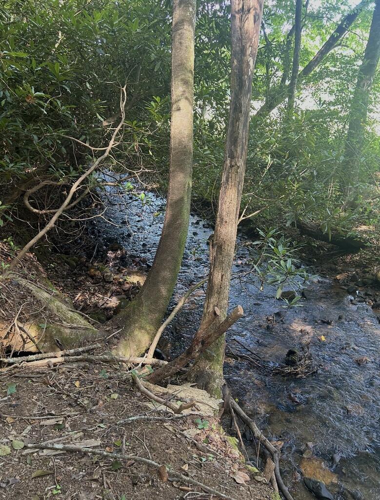 435578 Hiawassee Active