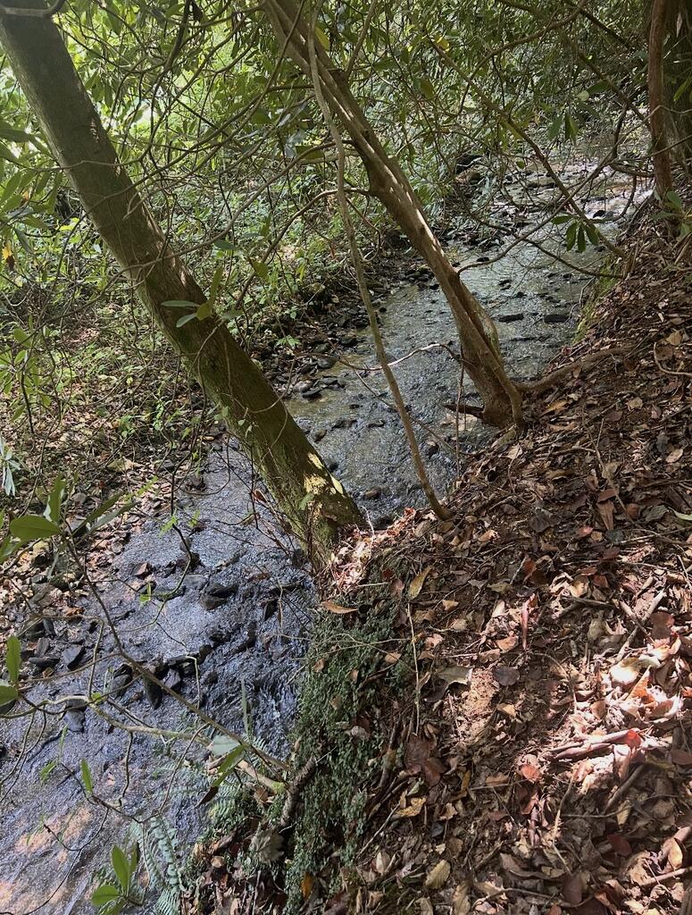 435578 Hiawassee Active