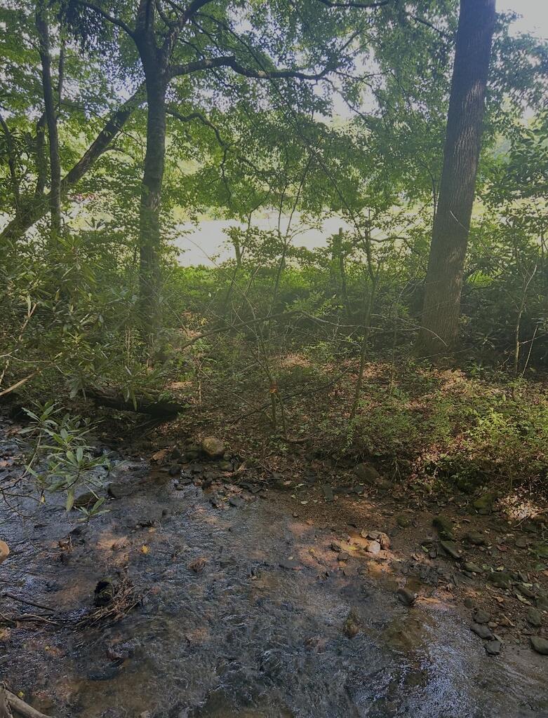 435578 Hiawassee Active