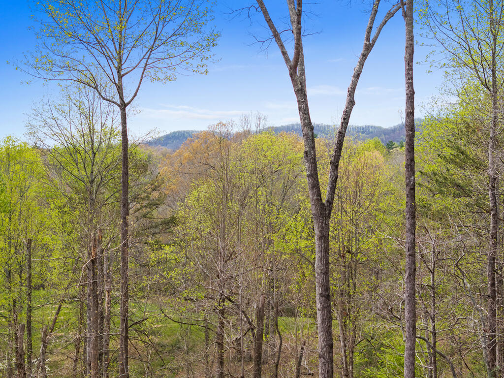 435584 Blue Ridge Active