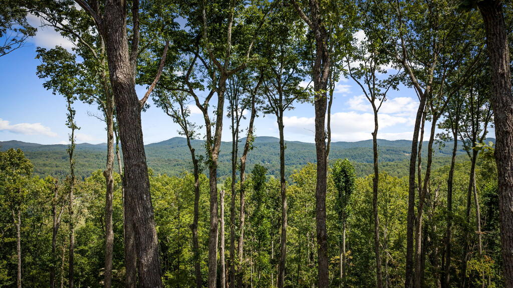435652 Morganton Active