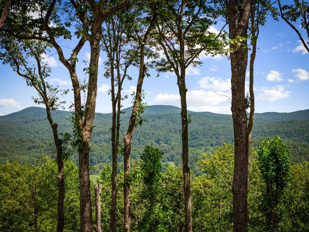 435652 Morganton Active