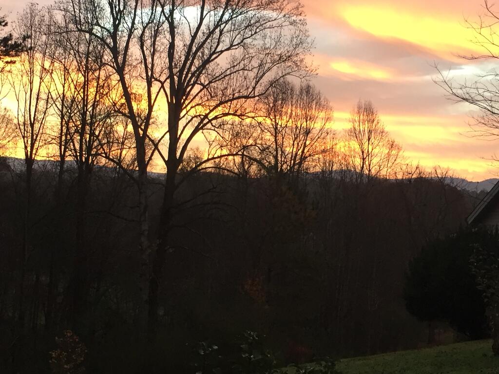 435660 Ellijay Active