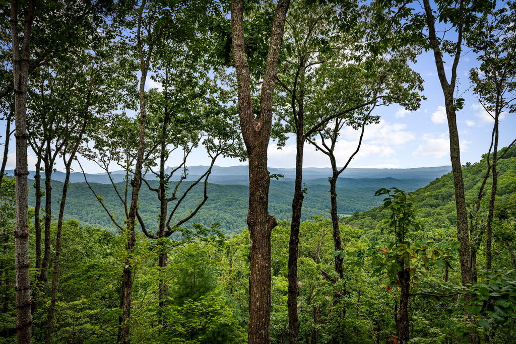 435661 Ellijay Active