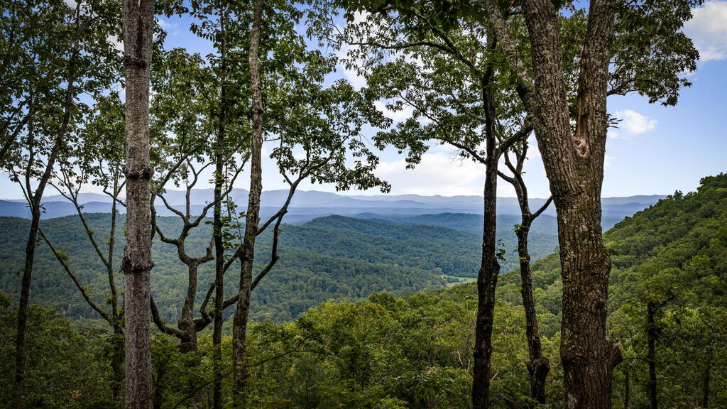 435661 Ellijay Active
