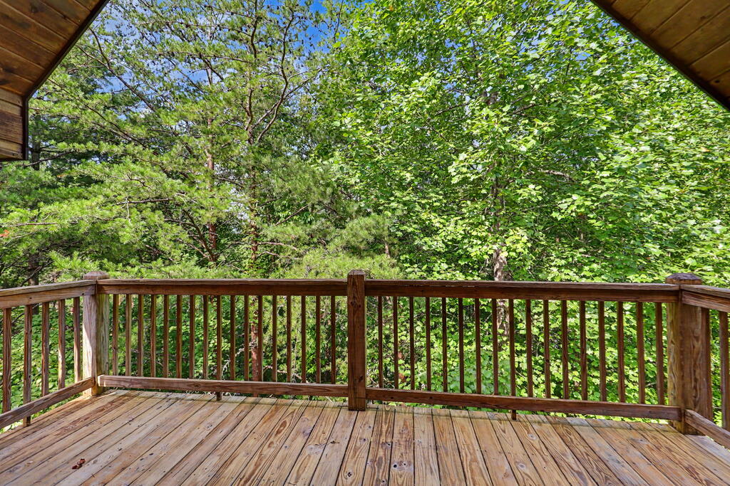 435674 Young Harris Active