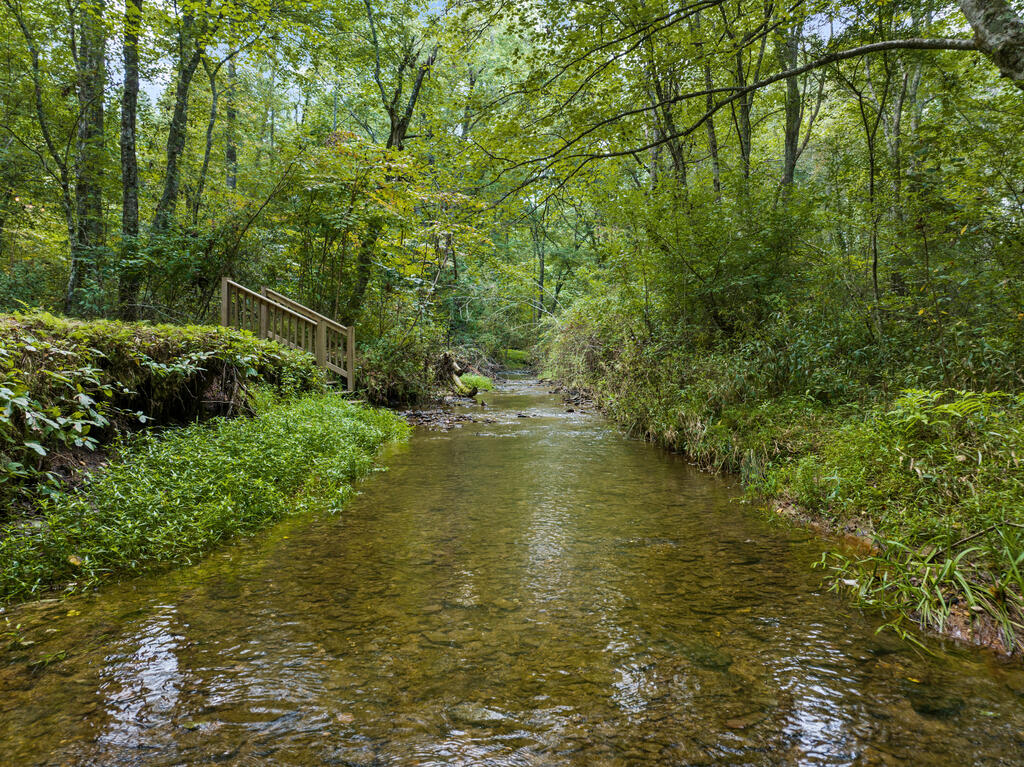 435676 Blue Ridge Active