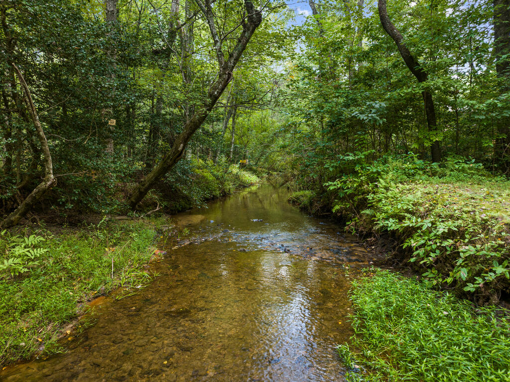 435676 Blue Ridge Active