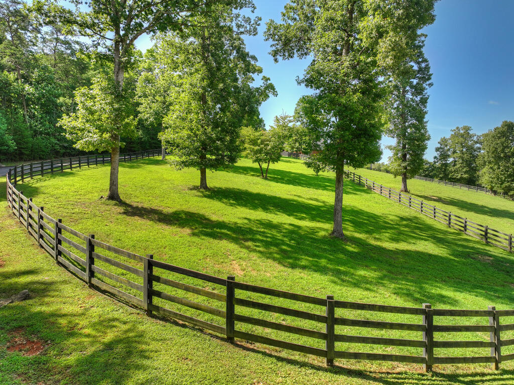 435680 Blue Ridge Active